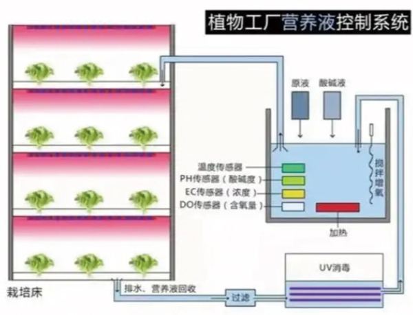 Planting (soilless cultivation) medium-pressure ultraviolet disinfector